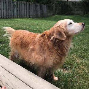 Meet your Posher, Cole